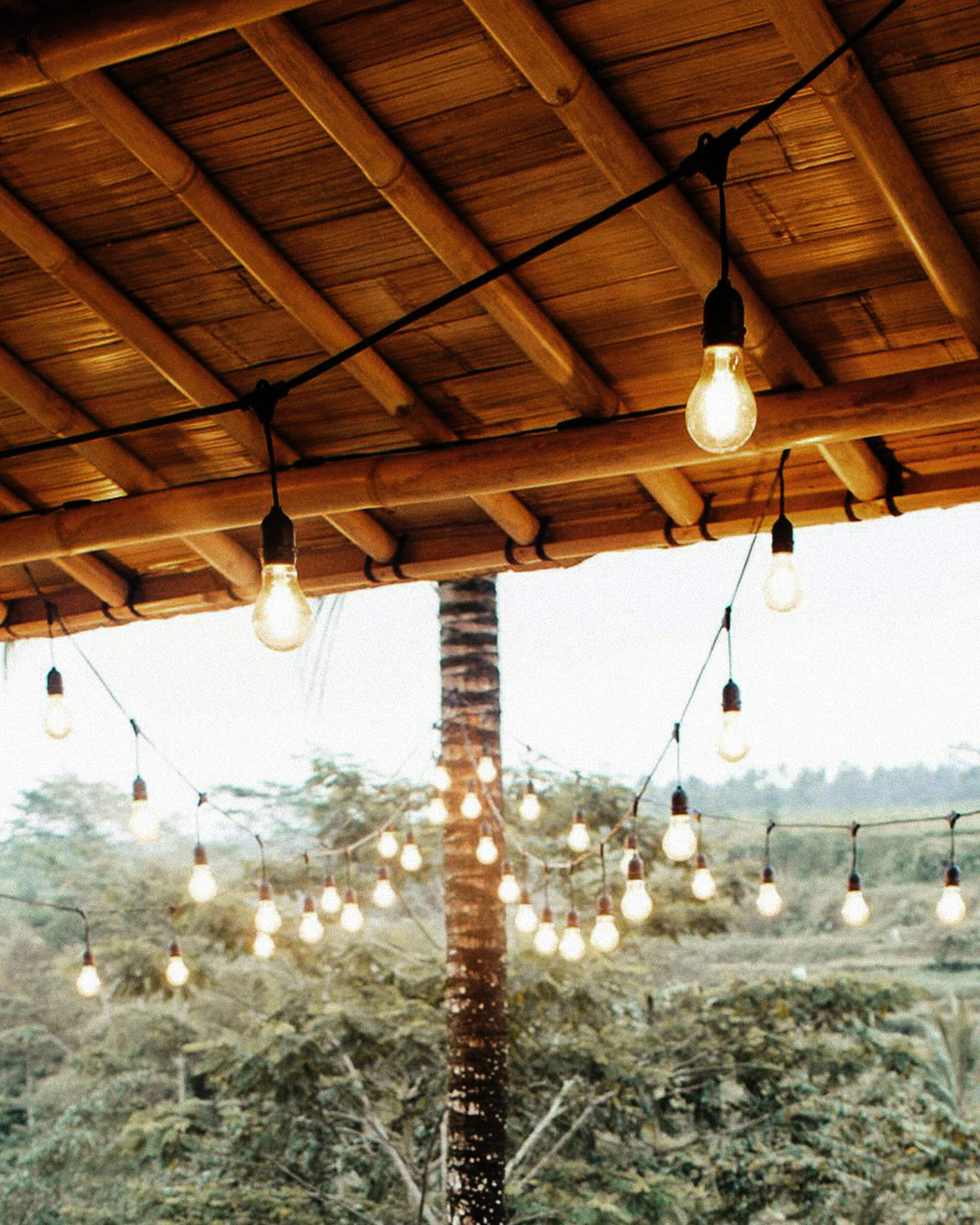 Guirlande goutte à filament