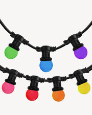 Grinalda multicolor