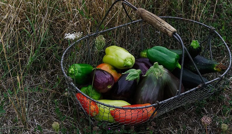 Legumes
