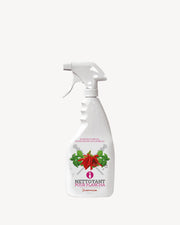 Spray de limpeza para grelha em inox