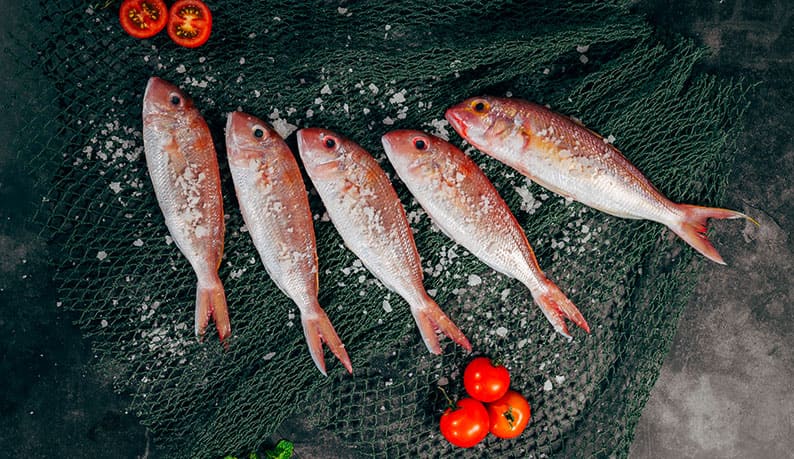 Peixes