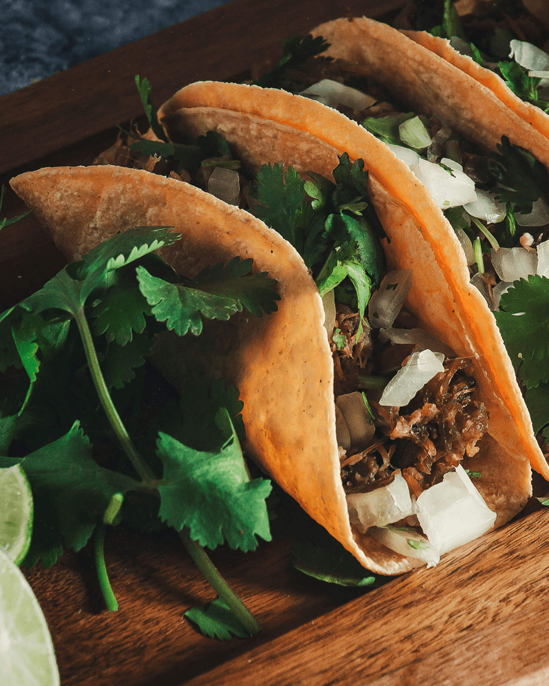 Tacos em suporte para tacos em inox